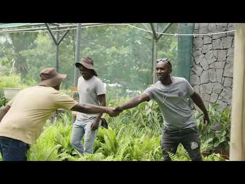 MO QUOTIDIEN  Dominique Vaillant