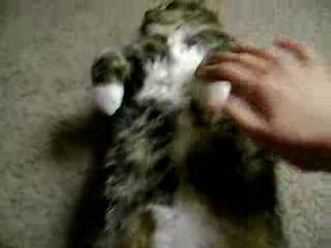 Martika da CaT on her back