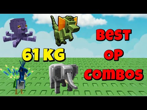 Haustiere mit 61 kg sind momentan total OP 😱 Die besten OP-Kombos für schnelles Leveln und riesig...