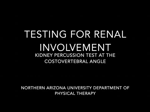 Kidney Percussion Test at the Costovertebral Angle