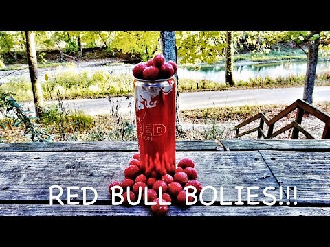 How To Make Carp Boilies.... Red Bull Carp Boilies!!     *2019*   New Recipe