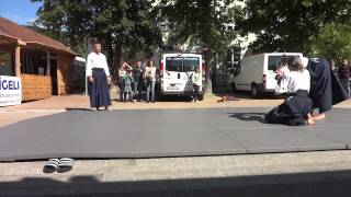 preview picture of video 'Herbstfest Freienstein-Teufen 2013: Aikido-Demonstration'