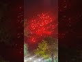 21st Century Biggest Skyshot #Sony Fireworks#diwali #fireworks #sivakasi