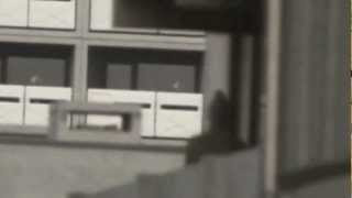 One Day In September Book Trailer