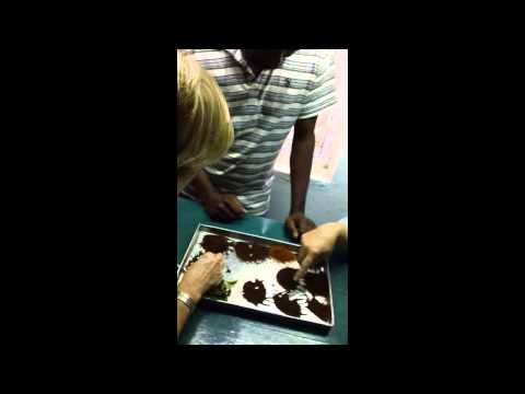 Tea...101...South India