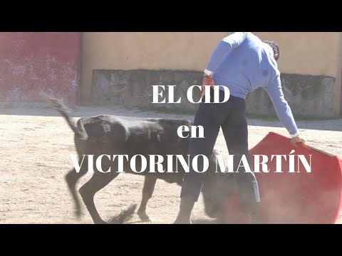 ✅😍EL CID en VICTORINO MARTÍN ( Homenaje Asociacion Jovenes Taurinos de CORIA)