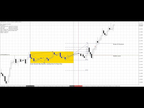 Video Bliz Golden Strategy MT5