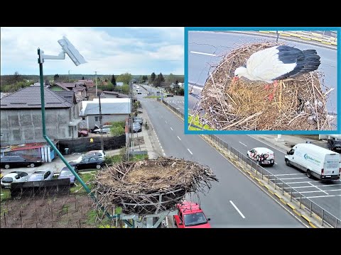 Instalare sistem de supraveghere video cuib barză Călugăreni - jud. Giurgiu