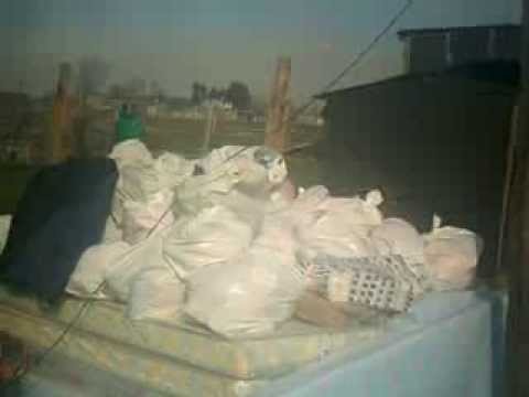 ÉSTO ES SOLIDARIDAD