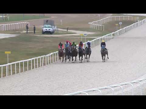 2018.10.21. 02. futam - LORD DERBY EMLÉKVERSENY HENDIKEP (II.o.) (szintetikus pálya)