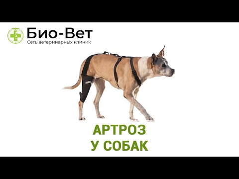Деформирующий артроз 4 степени коленного сустава Семейный доктор мрт коленного сустава