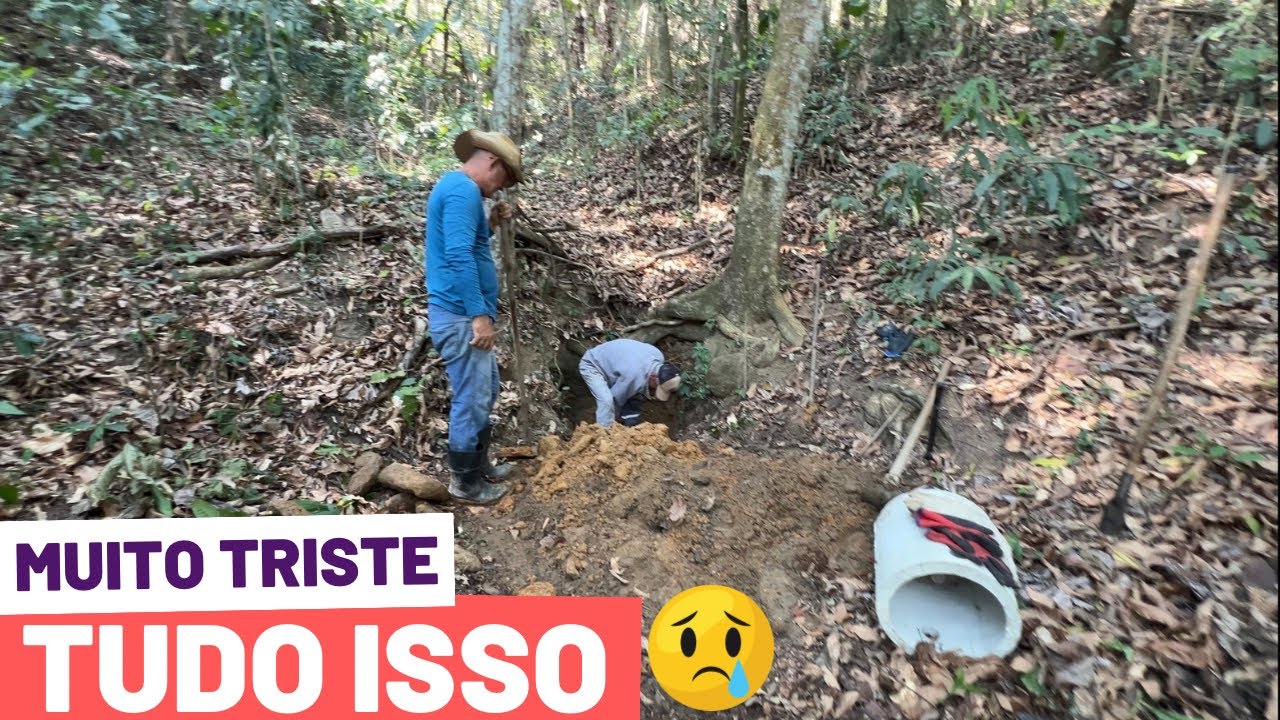 NUNCA PENSAMOS EM PASSAR POR ISSO AQUI NO SÍTIO😔/Bora pra Roça?