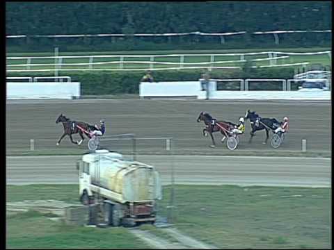 Trotto 09/09/2016 - prova di qualifica