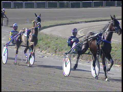 Trotto 17/03/2017 - 1ª corsa