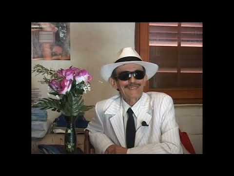 Pitanja od kojih boli glava: Tarzan Vol  2