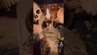 Download lagu Patrick Süskind - Perfume mp3 Download lagu Patrick Süskind - Perfume mp3