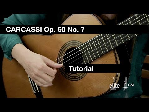 Elite Guitarist - Carcassi's Etude No. 7 - Tutorial Pt. 1 taught by Ines Thome on a GV Rubio