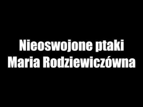 Nieoswojone ptaki - Maria Rodziewiczówna • audiobook PL