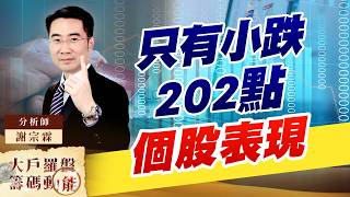 只有小跌202點 個股表現｜大戶羅盤籌碼動能 ｜謝宗霖 (圖)
