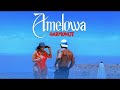 Harmonize - Amelowa (Official Video)