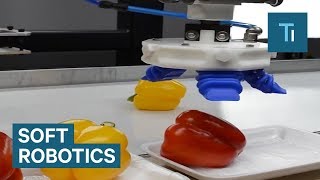 'Soft Robots' Handle Food With Care