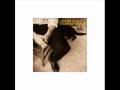 John Hiatt - What Do We Do Now