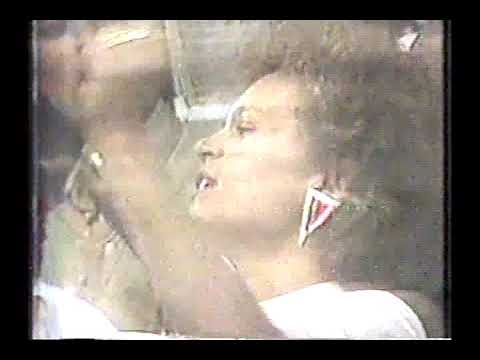 RESUMO DESFILES ESCOLAS DE SAMBA SÃO PAULO GRUPO ESPECIAL 1989