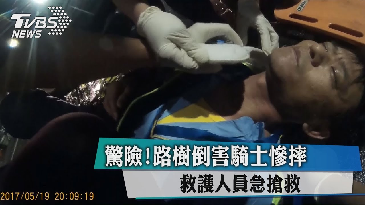 驚險！路樹倒害騎士慘摔　救護人員急搶救