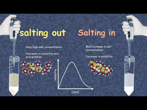 Salting in and salting out | How does salting out happen? | what is salting in of proteins?