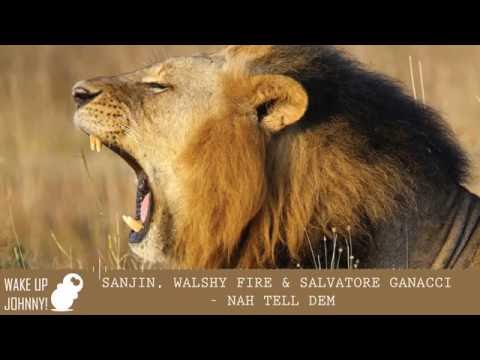 Sanjin, Walshy Fire & Salvatore Ganacci - Nah Tell Dem