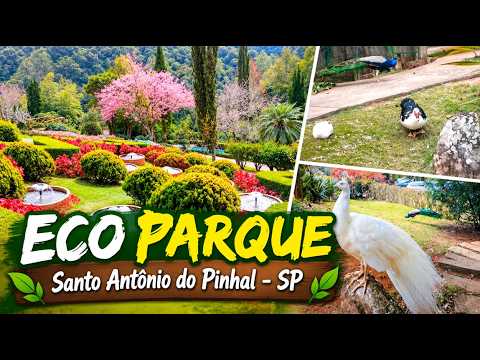 Eco Parque - Santo Antônio do Pinhal - Parte 02