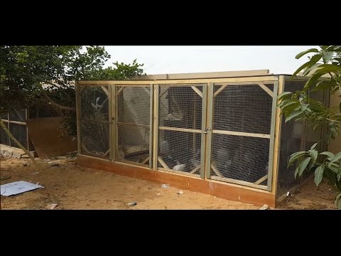 قفص جديد للحيوانات - My new cage for animals