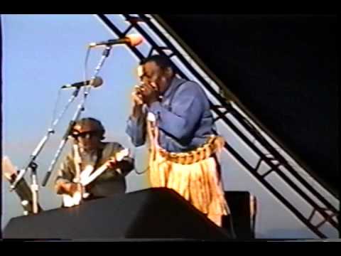 Wild Child Butler with TORCH on drums Mean Old Blues Live 1994