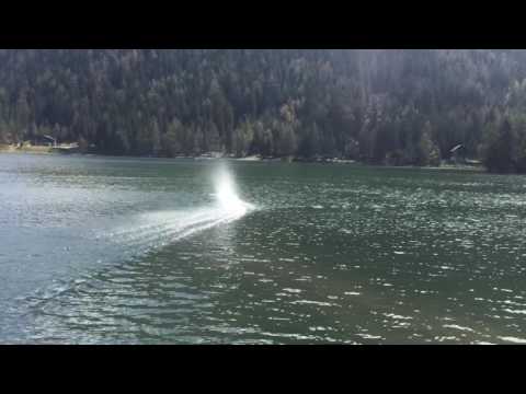 TFL Zonda 41' stock motor 2x 6S