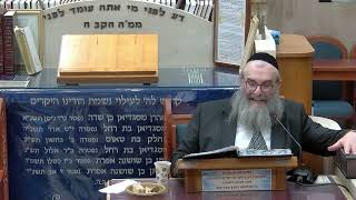 הרב יהושע ויזגן מסכת חולין דף מא עמוד א' (בית הכנסת מוסאיוף) - התמונה מוצגת ישירות מתוך אתר האינטרנט יוטיוב. זכויות היוצרים בתמונה שייכות ליוצרה. קישור קרדיט למקור התוכן נמצא בתוך דף הסרטון