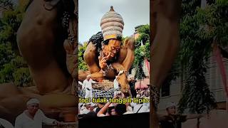 Download lagu the moment the hat fell off the stump #ogohogoh mp3