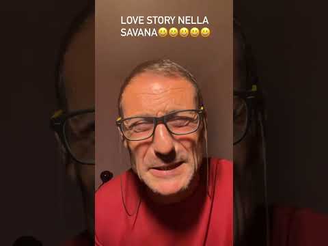 Barzelletta LOVE STORY NELLA SAVANA😀