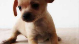 Needing you around Remix