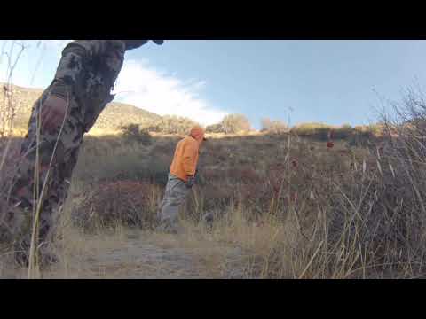 EL CHAGON HUNT ! 2017