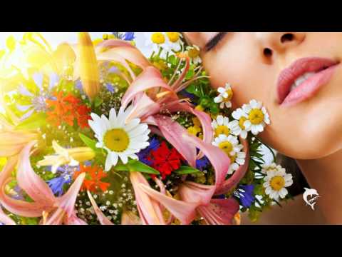 Nur Eine Blume - MusikApostel
