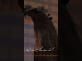 Mohabbat Hai Mujhe Mere Akele Pan Se Yeh Sukoon Mehfilon Me Nhi Milta Trending Viral Shayari Shorts