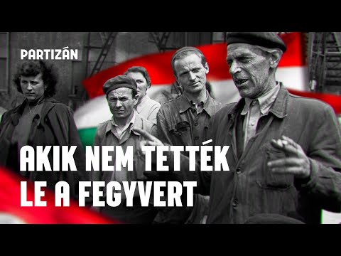 Amikor a forradalom az utcáról a gyárba került │1956-57 és a munkástanácsok története