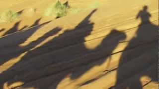 preview picture of video 'Camel Trekking Erg Chebbi'