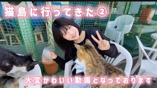 【猫島】大変可愛い動画となっております。