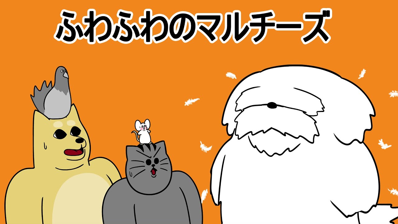 マルチーズの毛を切らないとどうなるか