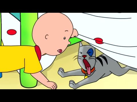 Caillou em Português | Caillou e o Gato Bravo | 524 | Nova Temporada | Desenho Animado