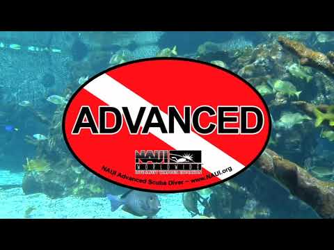 NAUI SCUBA DIVER COURSE: - 7