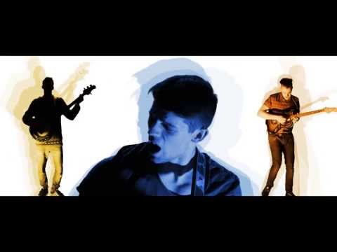 Safari video