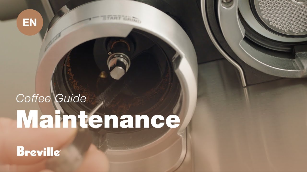 How to clean grinder conical burrs