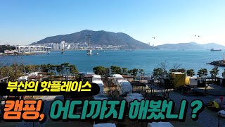 釜山野营의 이미지